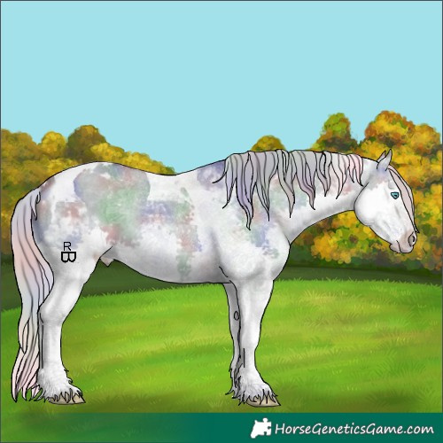 Horse Color:Nacre Silver Brown Dun Splash Tobiano Appaloosa 