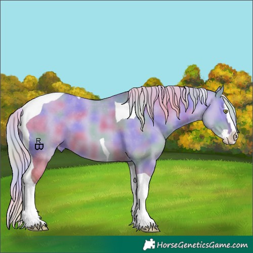 Horse Color:Nacre Silver Sable Champagne Dun Splash Tobiano Appaloosa