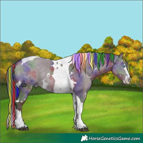 Horse Color:Painted Nacre White Spotted Grullo Splash Tobiano 