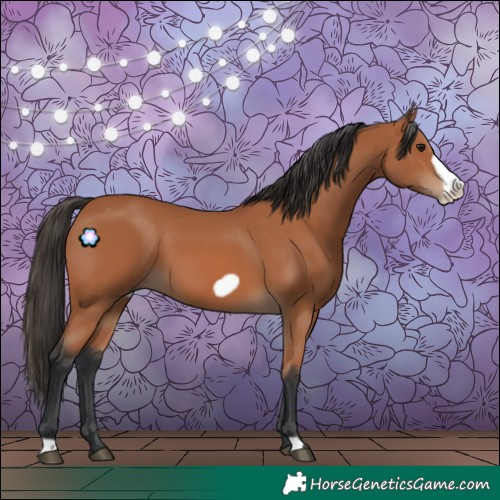 Horse Color:Bay Frame