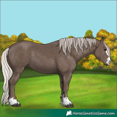 Horse Color:Silver Black 