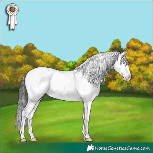 Horse Color:Grullo Sabino Splash 
