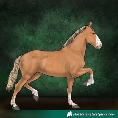 Horse Color:Chestnut  and Chestnut 