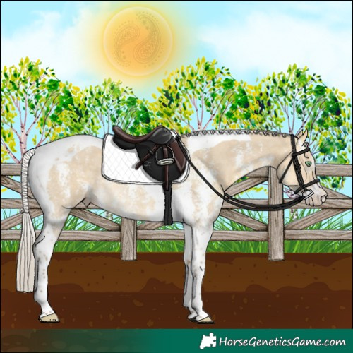 Horse Color:Silver Sable Cream Champagne Dun Sabino Tobiano Rabicano 