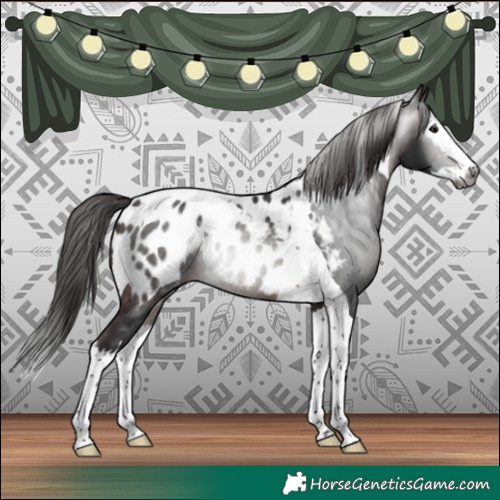 Horse Color:Gray Bay Splash Tobiano Blanket 