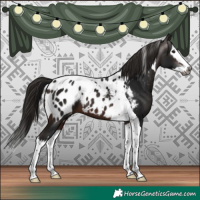 Horse Color:Gray Bay Splash Tobiano Blanket 