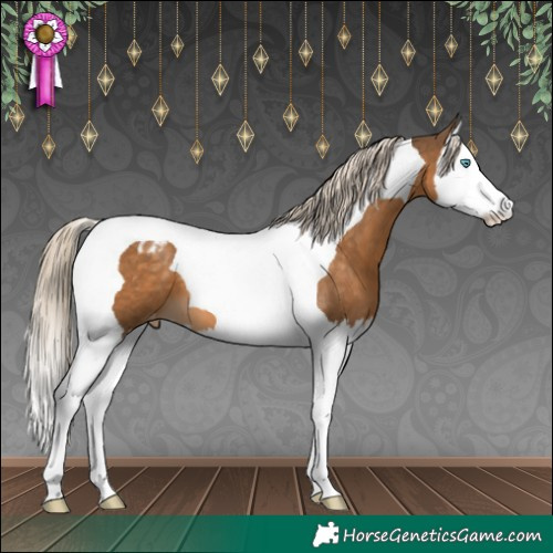 Horse Color:Chocolate Palomino Splash Tobiano Blanket 