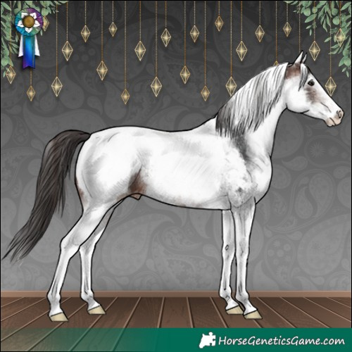 Horse Color:White Spotted Brown Snowcap 