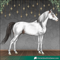 Horse Color:White Spotted Brown Appaloosa