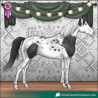 Horse Color:Black Splash Tobiano Varnish 