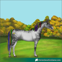 Horse Color:Painted Black Ice Splash 