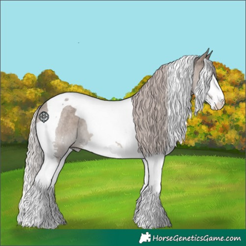 Horse Color:Silver Grullo Roan Splash Tobiano 