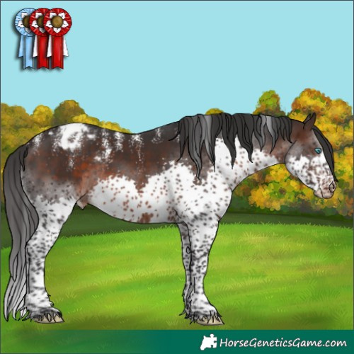 Horse Color:Powder White Brown Splash Tobiano Varnish Rabicano 