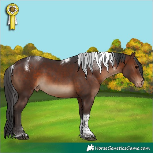 Horse Color:Powder White Brown Tobiano Varnish Rabicano 
