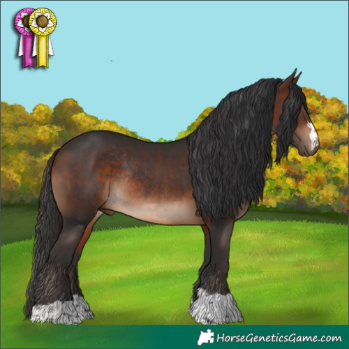 Horse Color:Brown Rabicano 