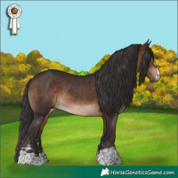 Horse Color:Brown Rabicano