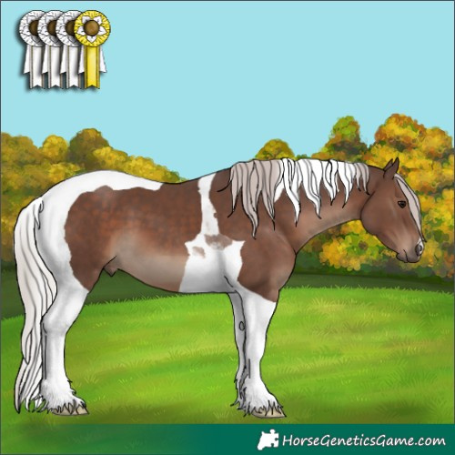 Horse Color:Silver Black Tobiano 