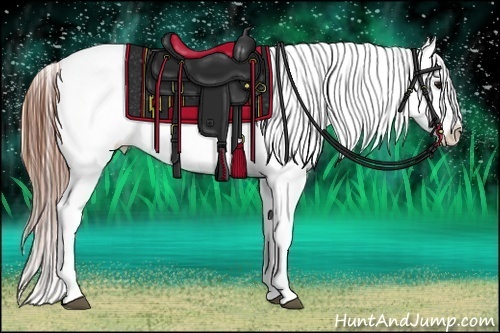 Horse Color:Bay Blanket 