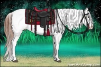 Horse Color:Bay Blanket 