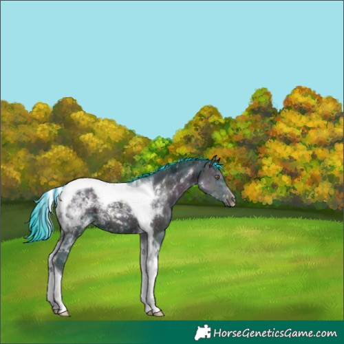 Horse Color:Painted Watercolor Midnight Classic Champagne Chinchilla Ice Onyx Tobiano 