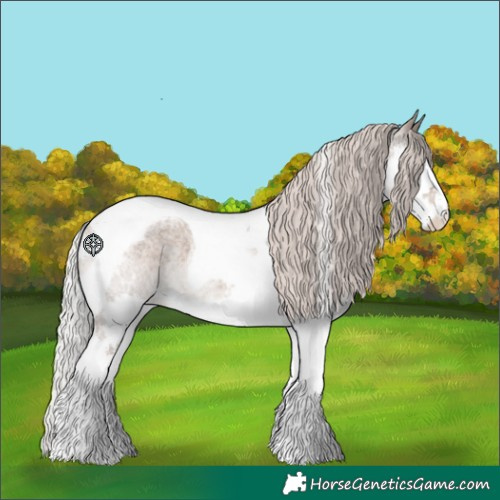 Horse Color:Silver Grullo Roan Splash Tobiano Appaloosa 