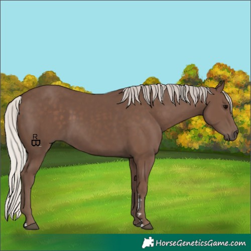 Horse Color:Silver Black 