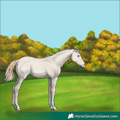 Horse Color:Smoky Creme Dun