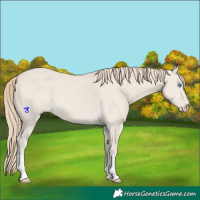 Horse Color:Smoky Creme Dun