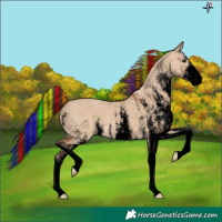 Horse Color:Void Painted White Spotted Bay Dun 