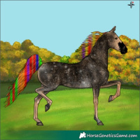 Horse Color:Void Painted Red Dun Roan Sabino 