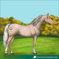 Horse Color:Silver Blue Roan Pearl Tobiano Frame
