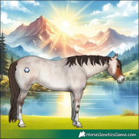 Horse Color:Bay Roan Onyx Rabicano