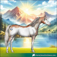 Horse Color:Silver Bay Onyx Sabino Frame Rabicano