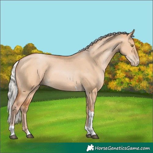 Horse Color:Silver Bay Pearl Dun Tobiano Rabicano 