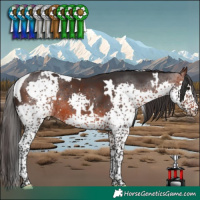 Horse Color:White Spotted Brown Splash Tobiano 