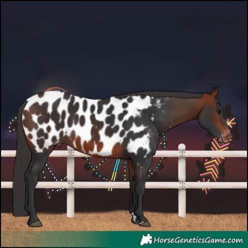 Horse Color:Bay Near Leopard 