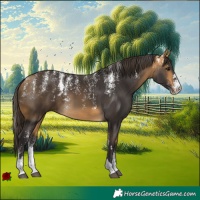 Horse Color:Powder White Buckskin 