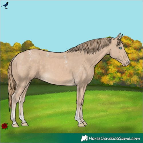 Horse Color:Powder White Perlino