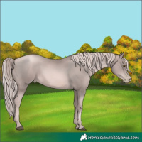 Horse Color:Platinum Liver Chestnut Pearl 