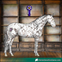 Horse Color:Powder White Amber Champagne Appaloosa  and Powder White Platinum Bay Appaloosa 