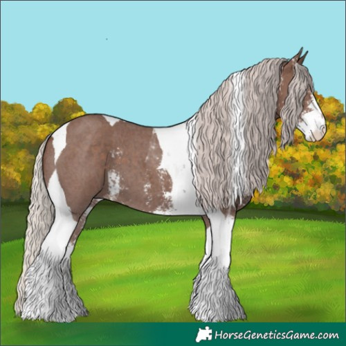 Horse Color:Silver Black Sabino Tobiano