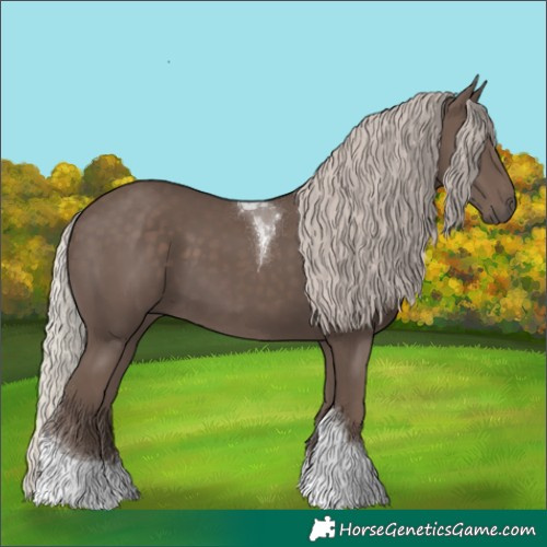 Horse Color:Silver Black Tobiano 
