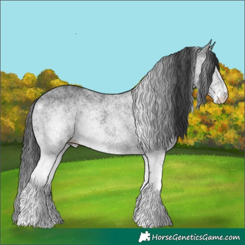 Horse Color:White Spotted Black Rabicano 