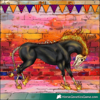 Horse Color:Black 