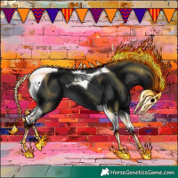 Horse Color:Black Tobiano