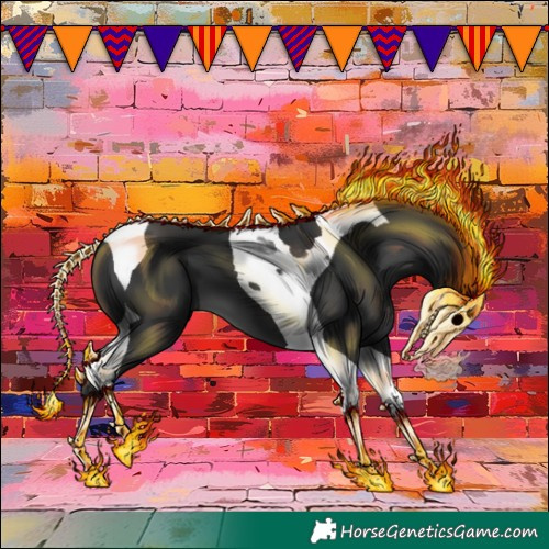 Horse Color:Black Tobiano