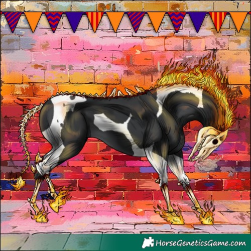 Horse Color:Black Tobiano 