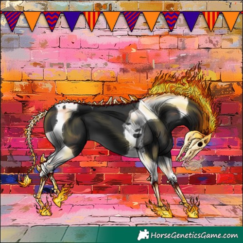 Horse Color:Black Tobiano