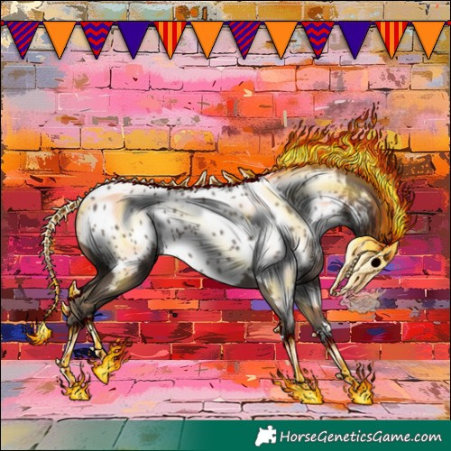 Horse Color:Silver Black Appaloosa Rabicano 