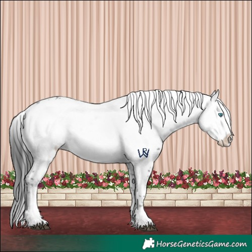 Horse Color:Liver Chestnut Frame